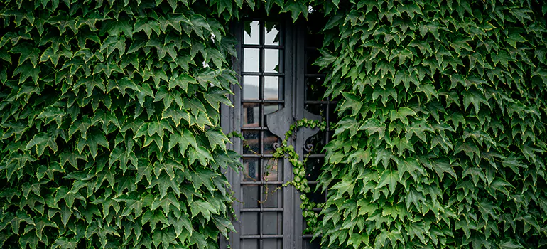 Garden Gate Repair in Leesburg, FL