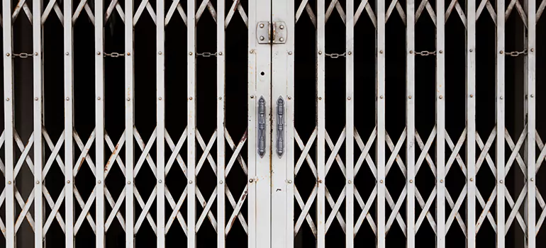 Steel Line Garage Door Repairs in Leesburg, FL