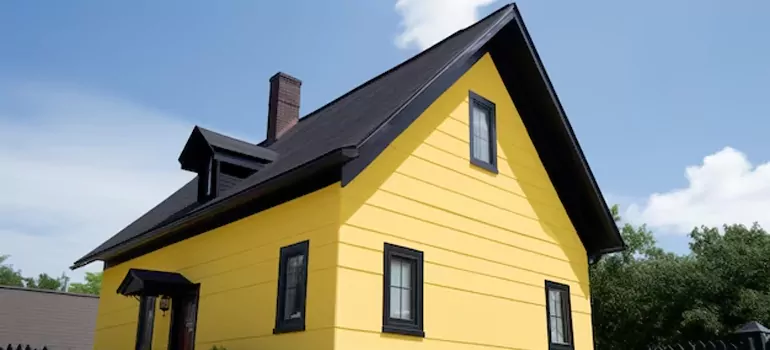 [Custom Black Windows in Leesburg, FL