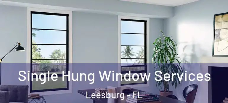  Single Hung Window Services Leesburg - FL