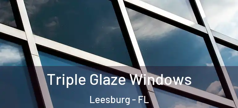  Triple Glaze Windows Leesburg - FL
